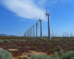 Rising Tree Wind Farm