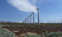 Rising Tree Wind Farm