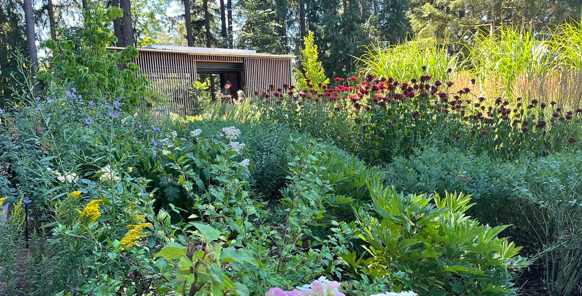 Leach Botanical Garden Renovation