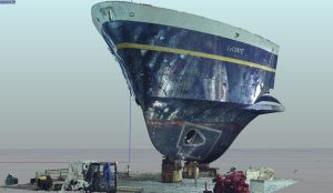 3D Laser Scan image of the LeConte's bow.