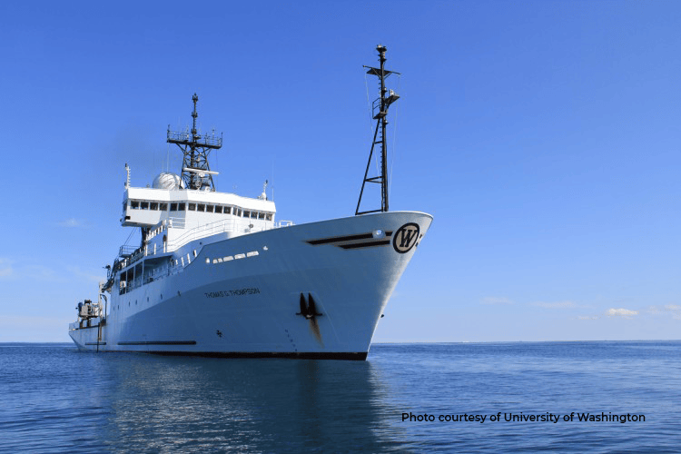 Marine Sonar Array Installation